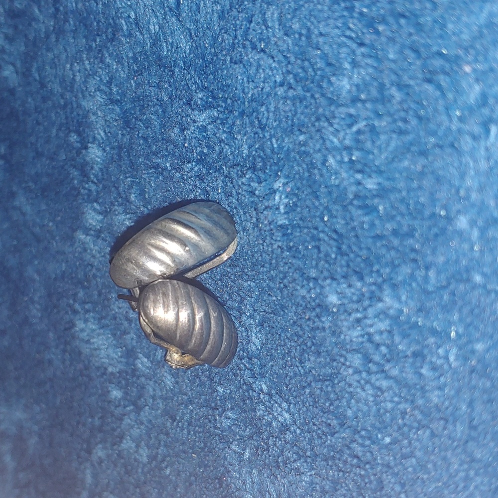 Small silver earrings